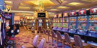 alam4 aplikasi fitur taruhan olahraga live betting dan manajemen akun